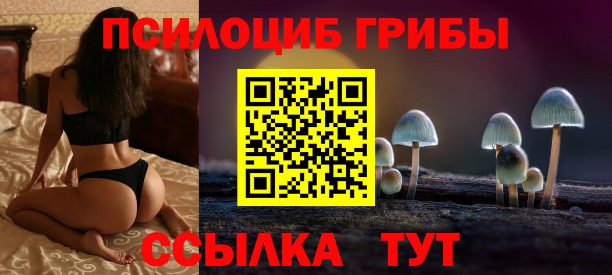 где можно купить   Галлюциногенные грибы Psilocybine cubensis  Нарьян-Мар  Вход с VPN  Псилоцибиновые грибы Psilocybe 