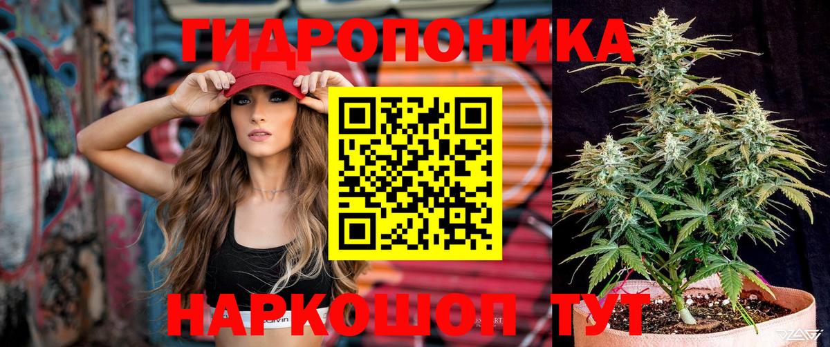 Конопля индика  Нарьян-Мар  Марихуана AK-47  Канабис сатива 